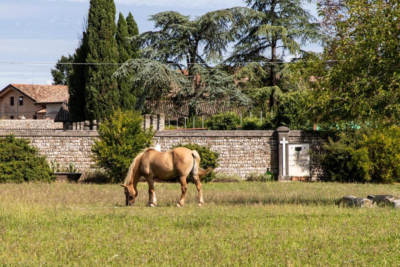 Casa Ariis Bed & Breakfast Clauiano ภายนอก รูปภาพ