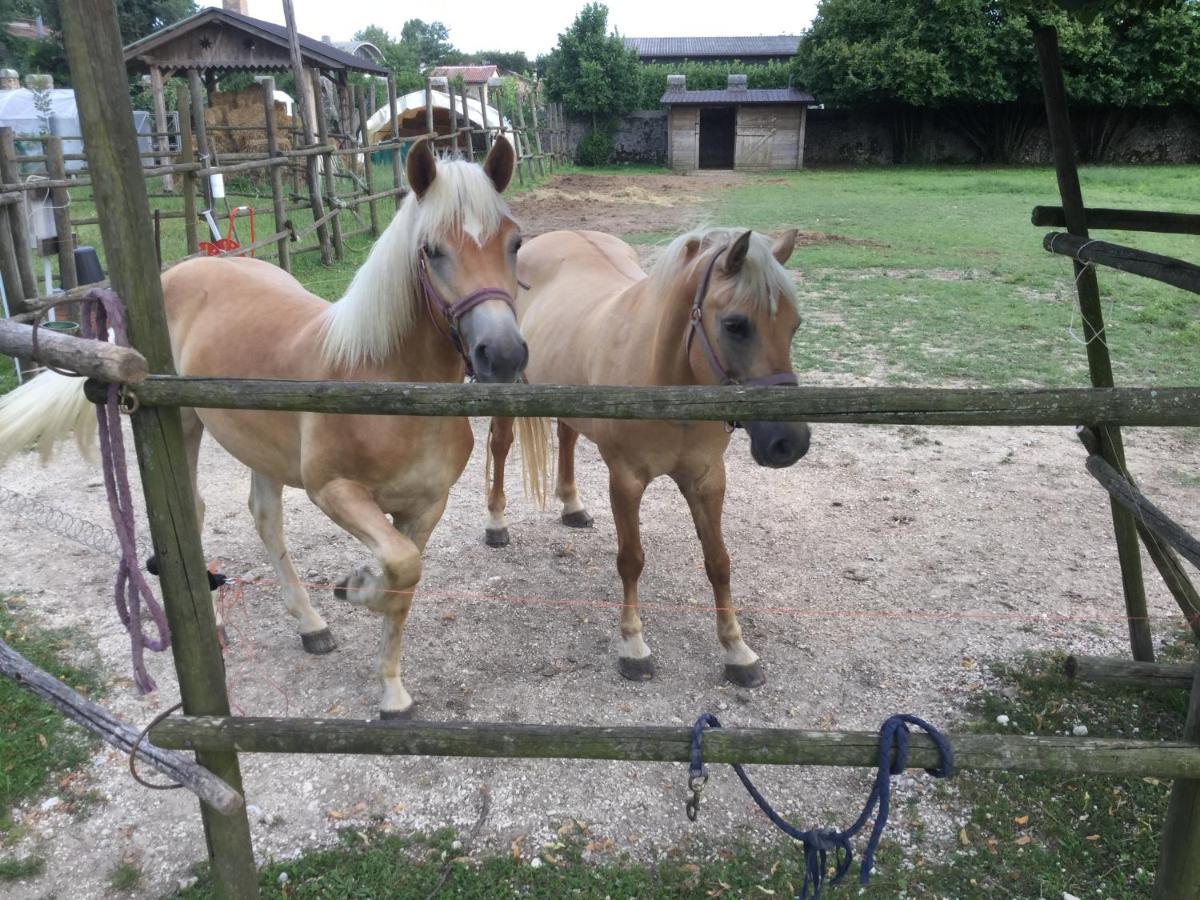 Casa Ariis Bed & Breakfast Clauiano ภายนอก รูปภาพ